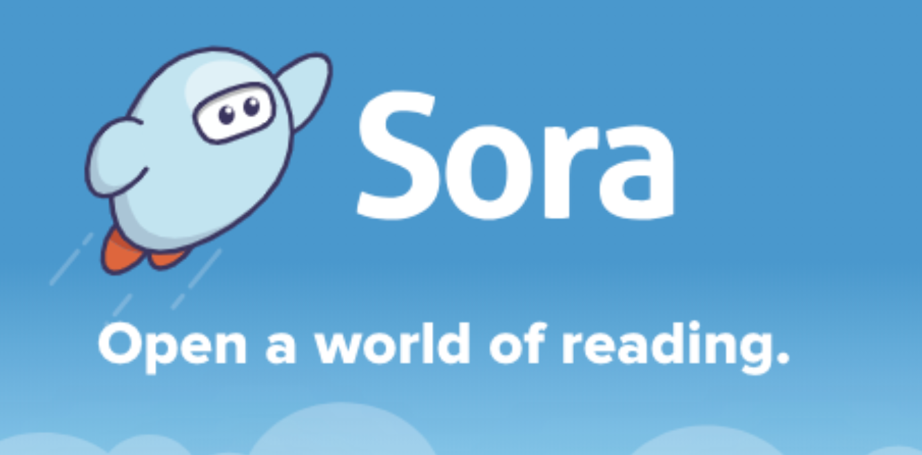 sora logo