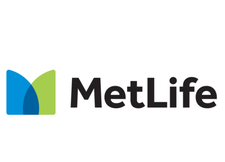 MeteLife Image