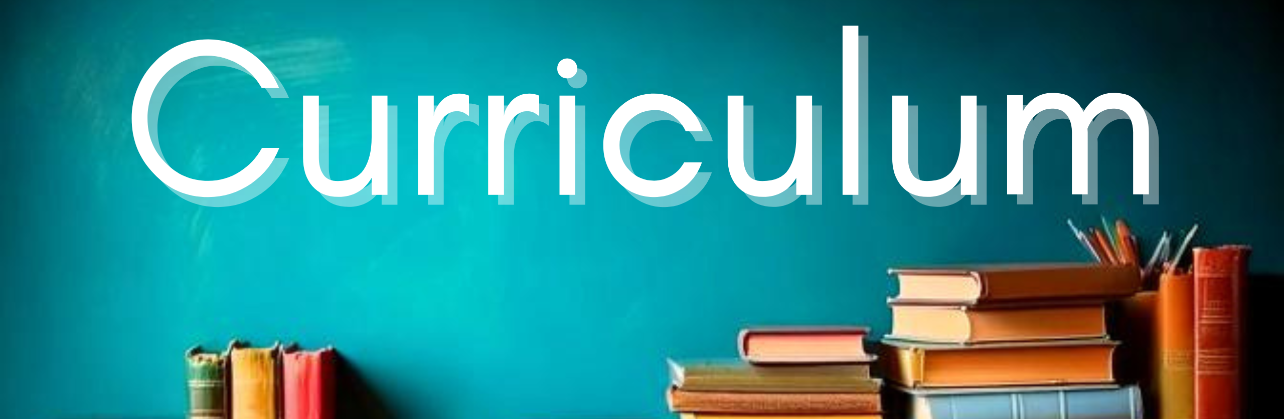 Curriculum Banner