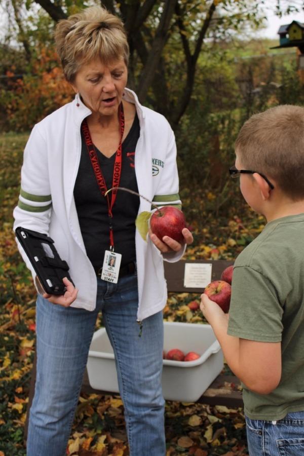 apple picking