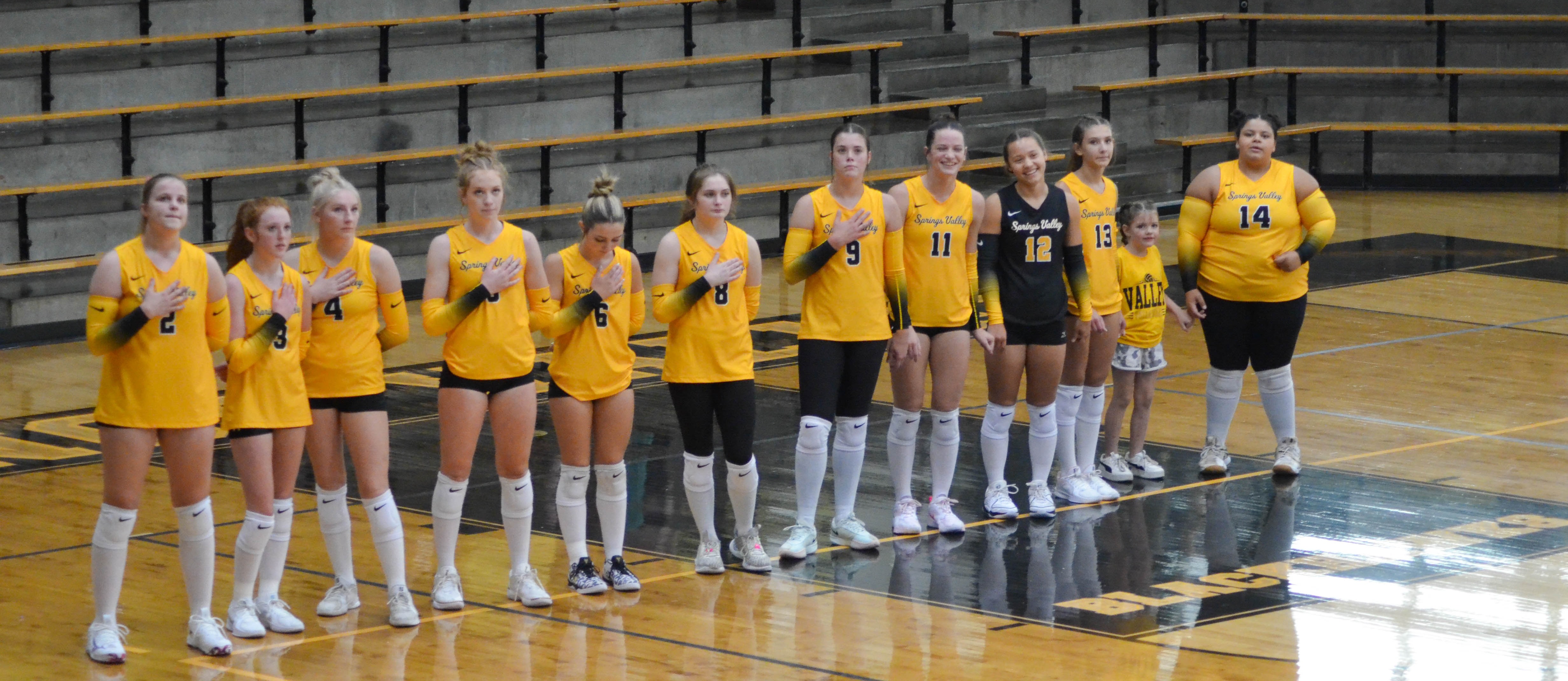 Picture of volleyball team