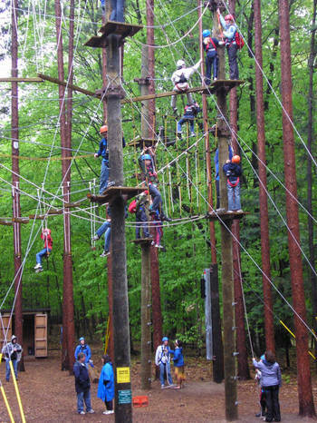 A group of people navigating ropes in a forest