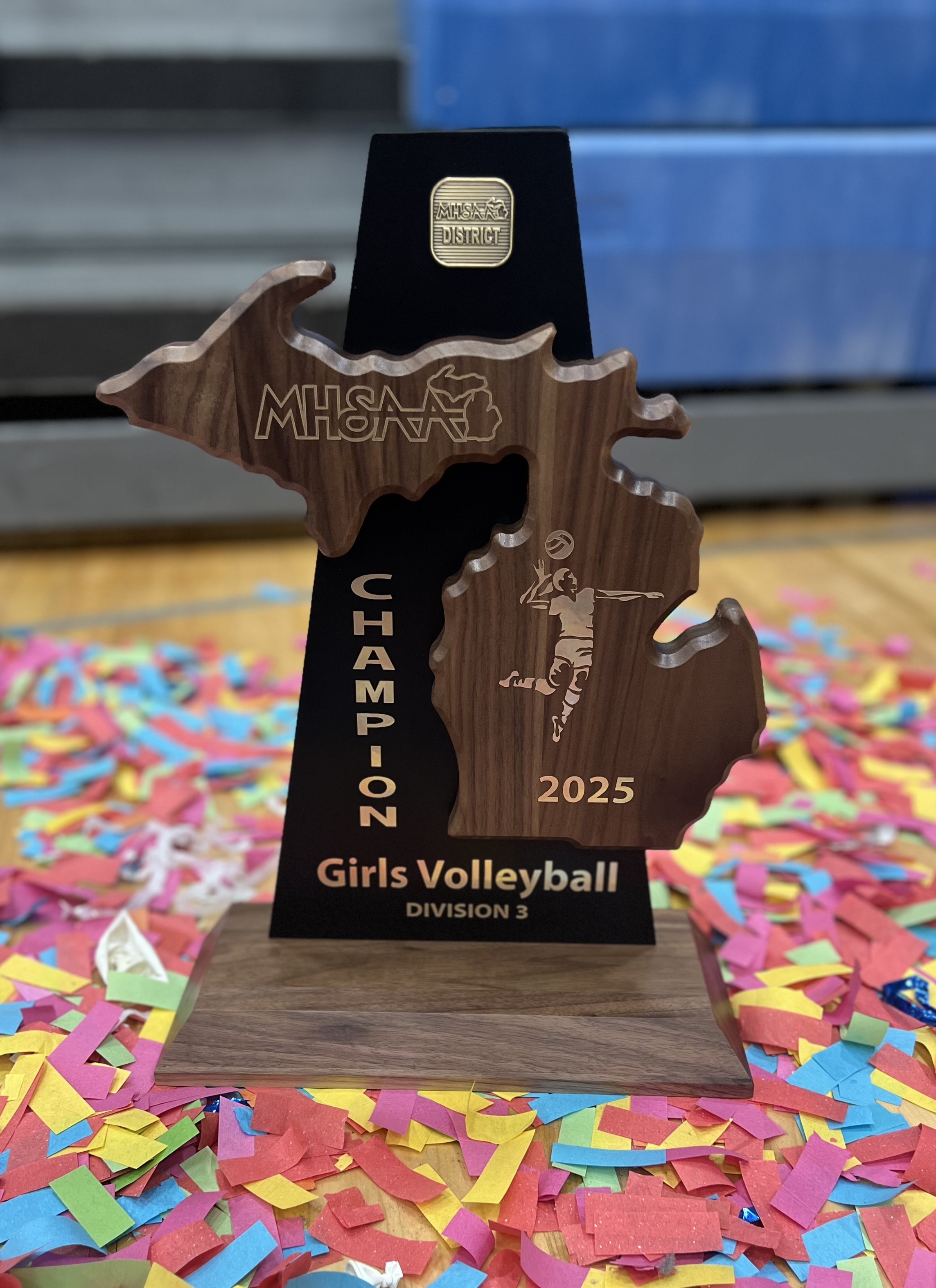 2025 Volleyball Trophy