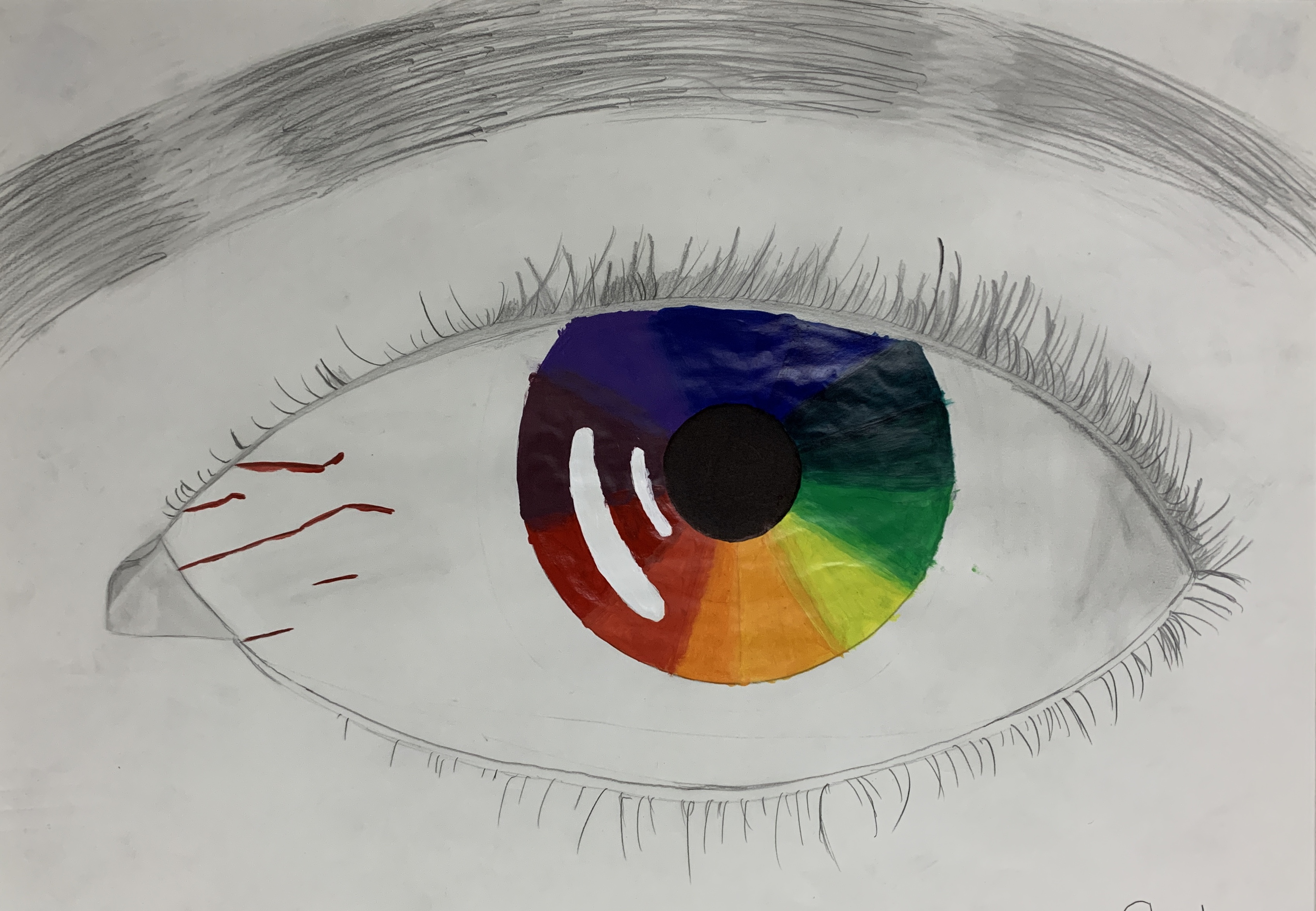 Students color wheel project - eye
