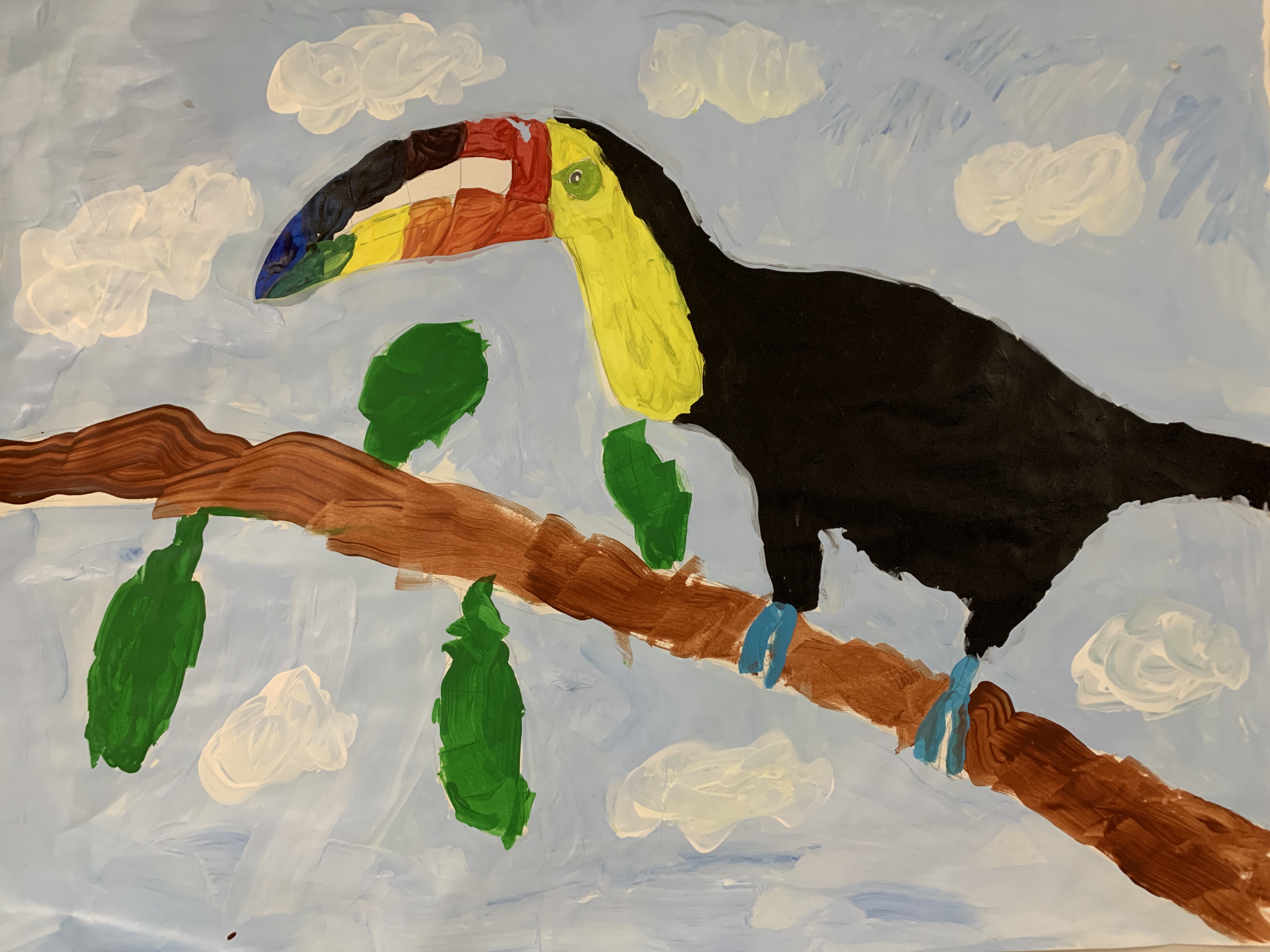 Students color wheel project - a toucan 