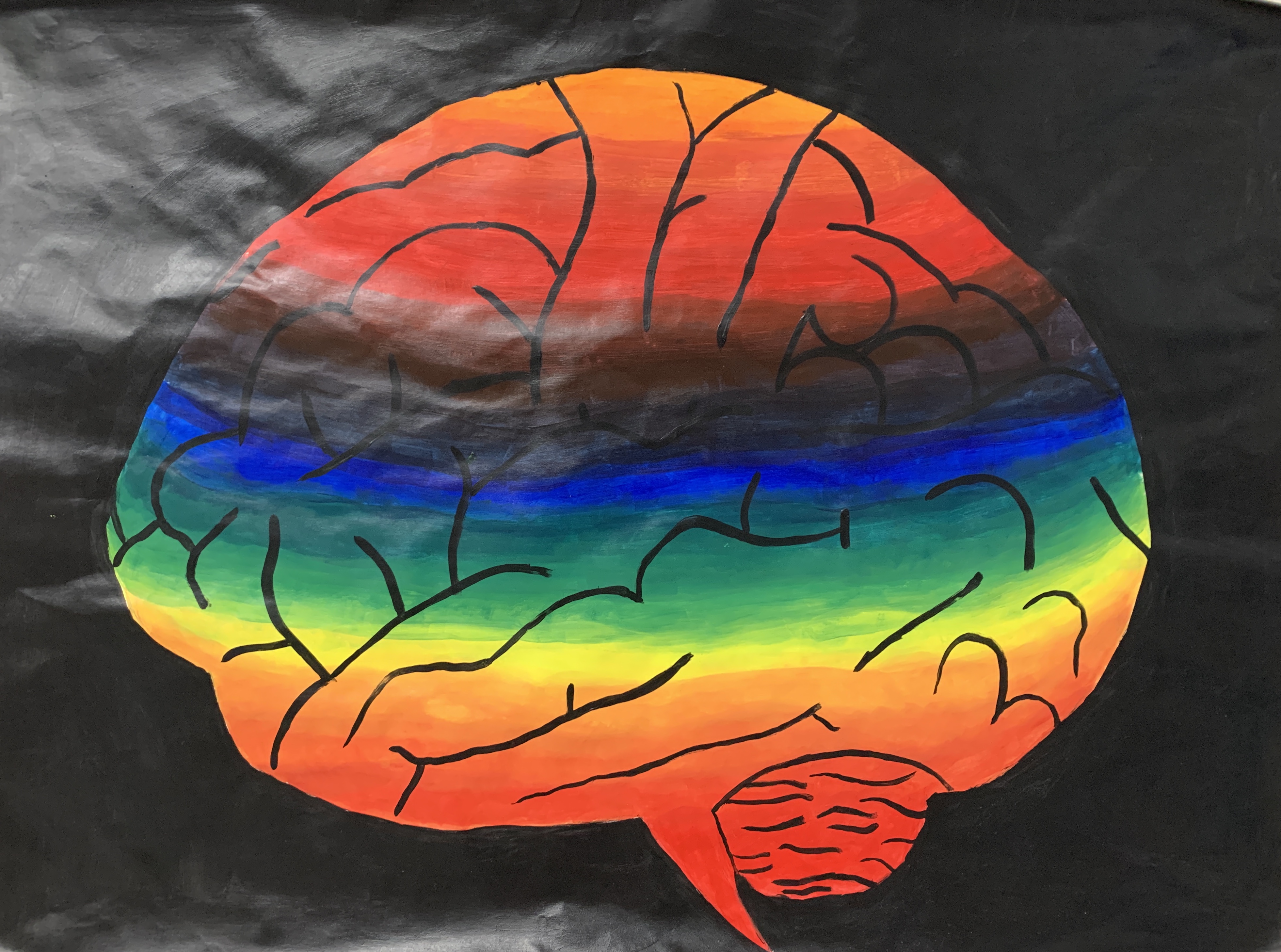 Student's color wheel project - a brain