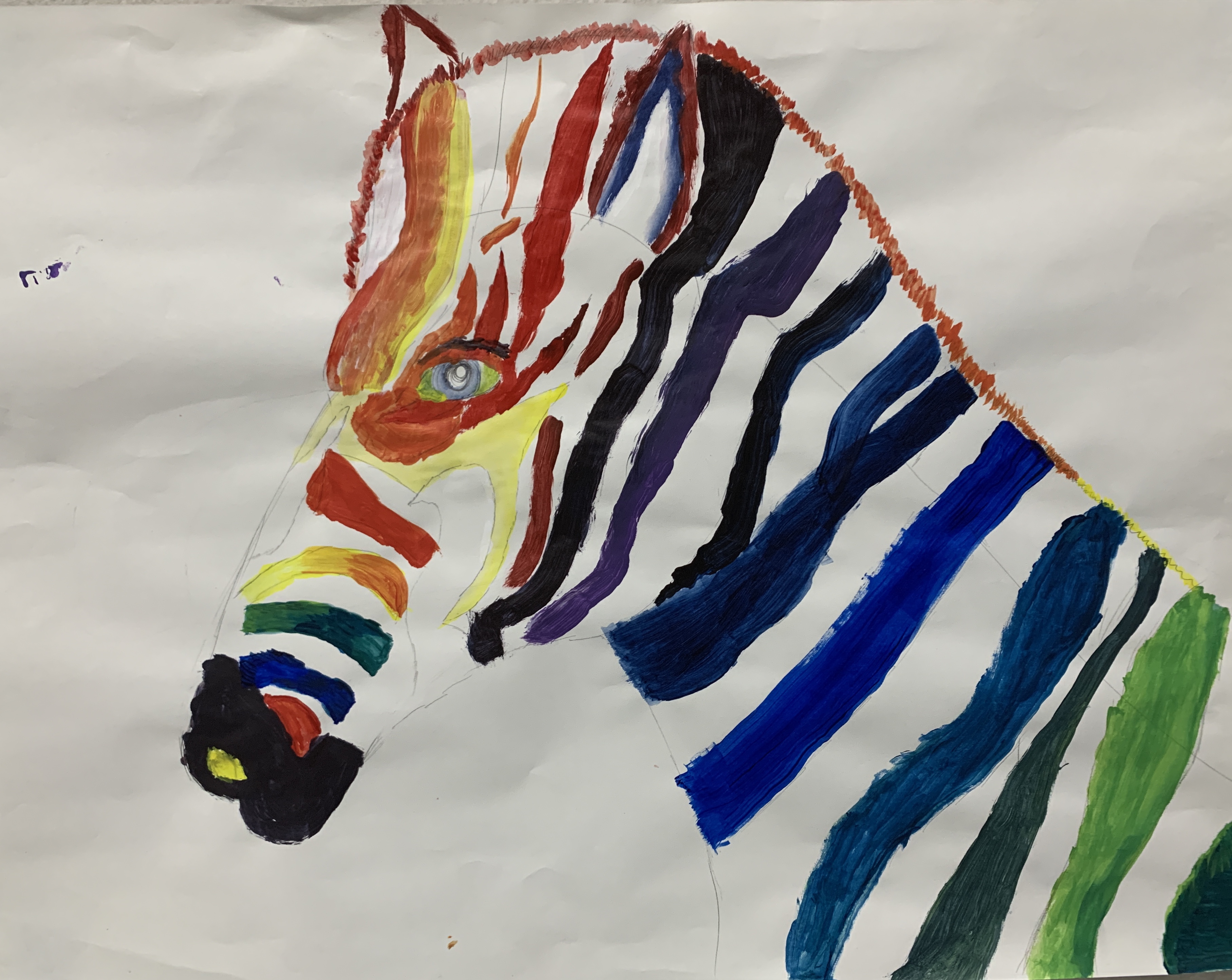 Students color wheel project - zebra