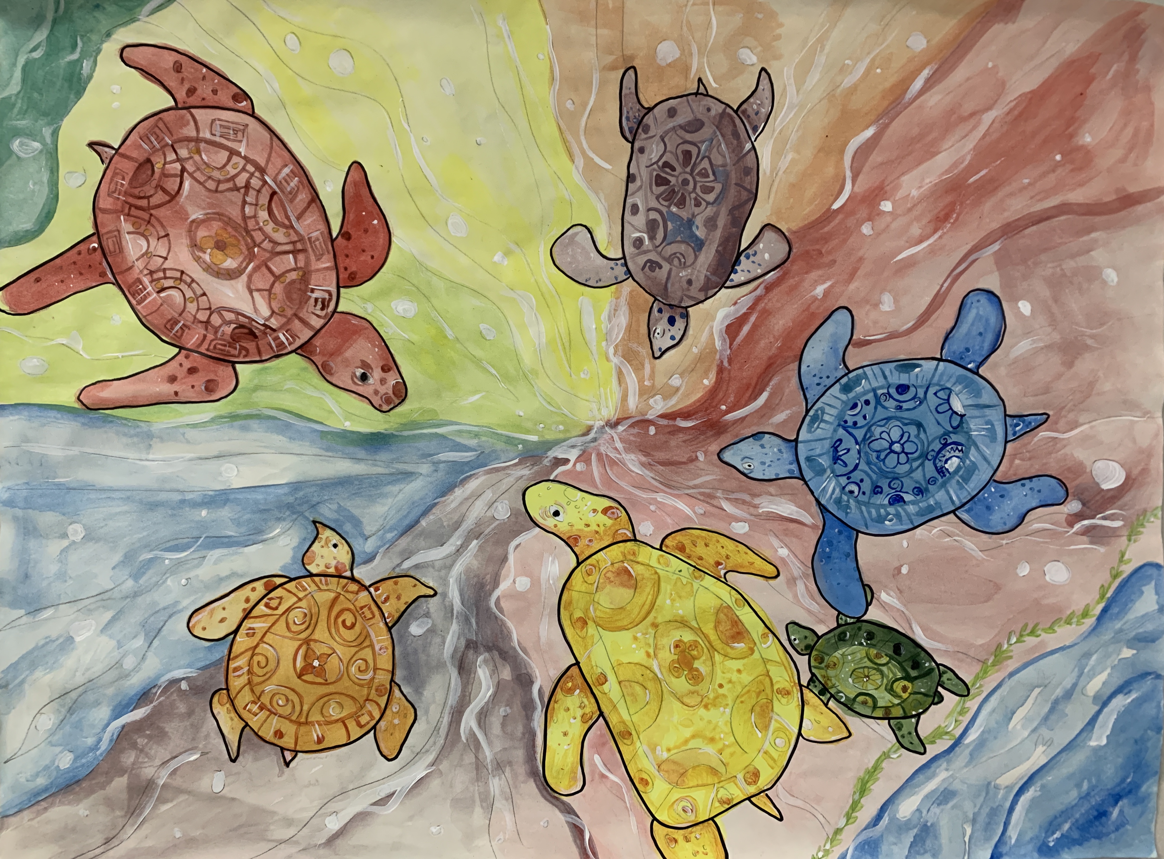 Students color wheel project - sea turtles