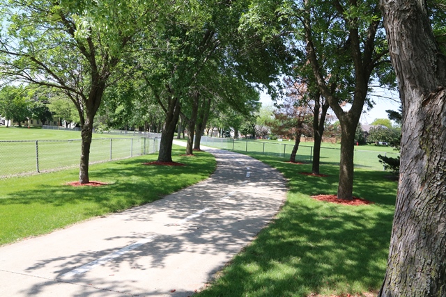 A path in a park lined with trees