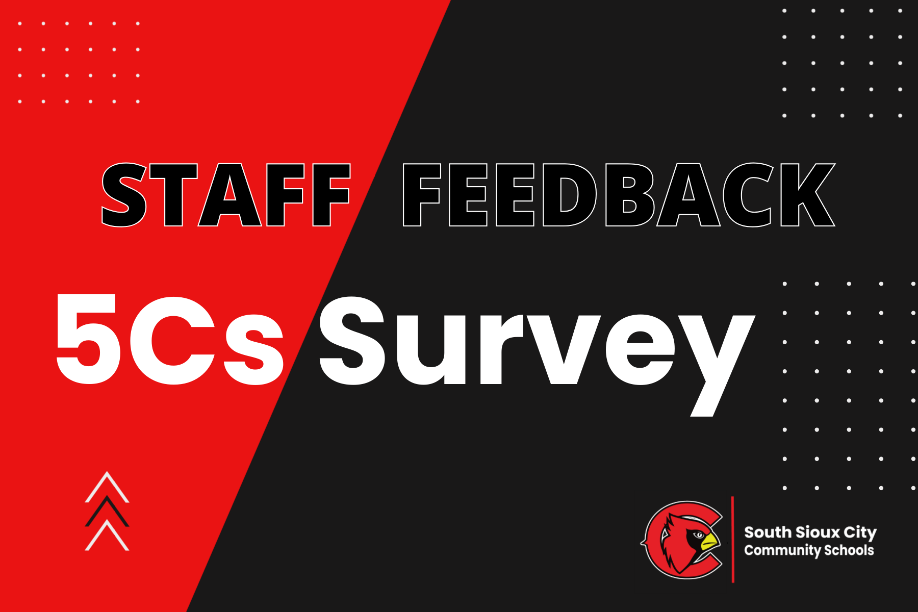 5 Cs staff survey