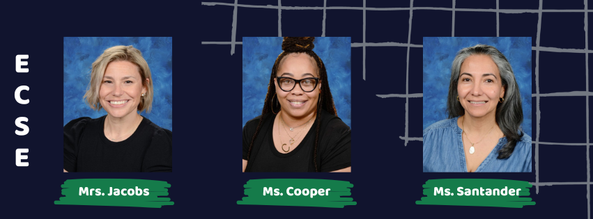ECSE teachers