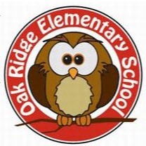 Owl logo