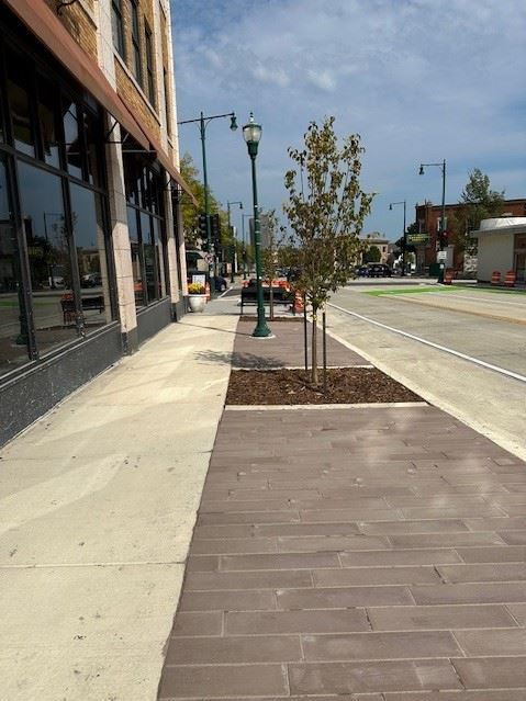 A sidewalk featuring a tree growing in the center,