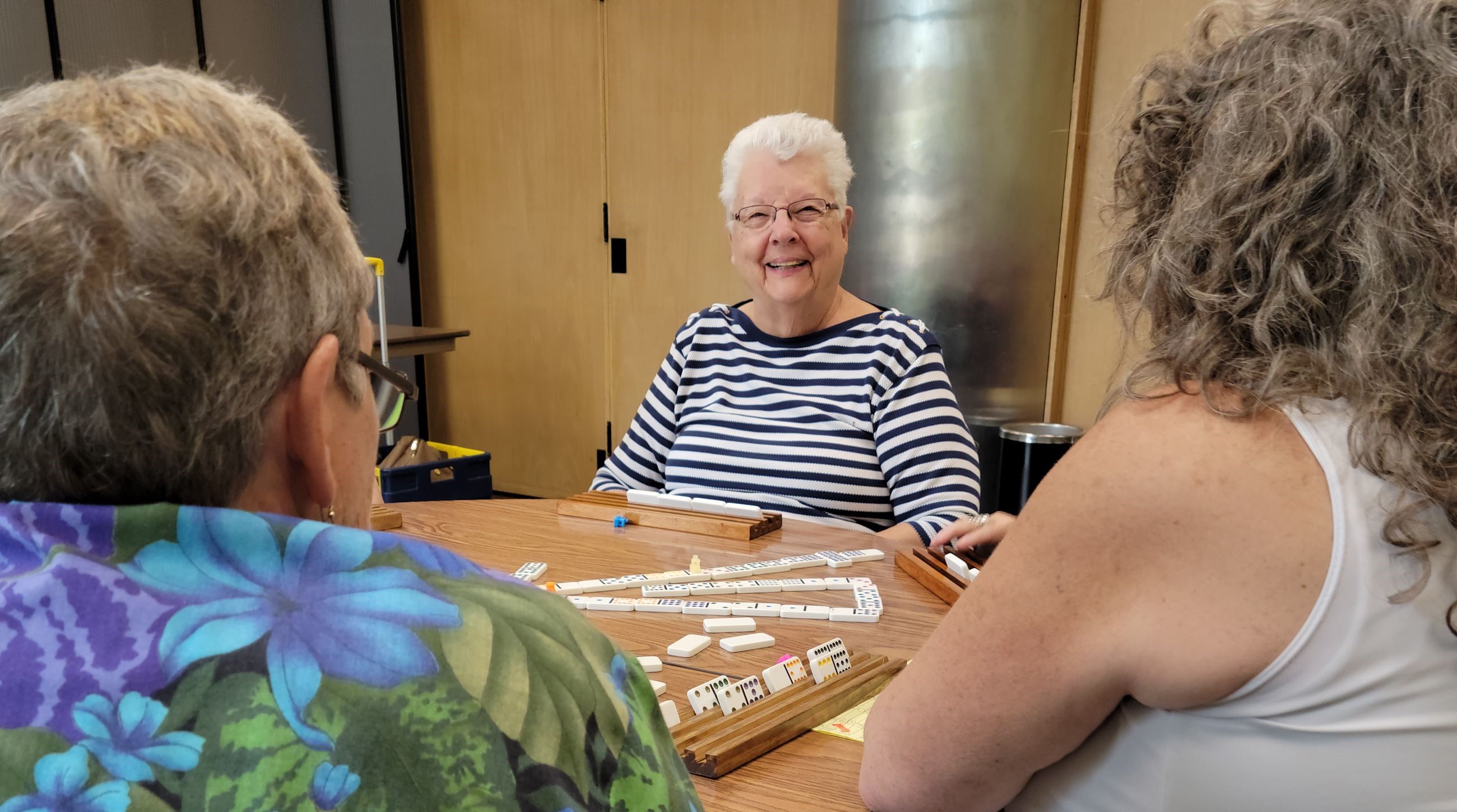 Play Games, Cards, and Dominoes