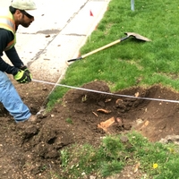 Once the hole is dug, the tree is centered and straightened to be aligned with other trees on the block.