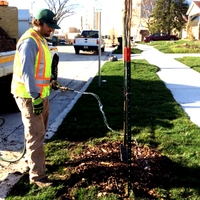 Finally, the tree gets watered, and will be maintained by City crews.