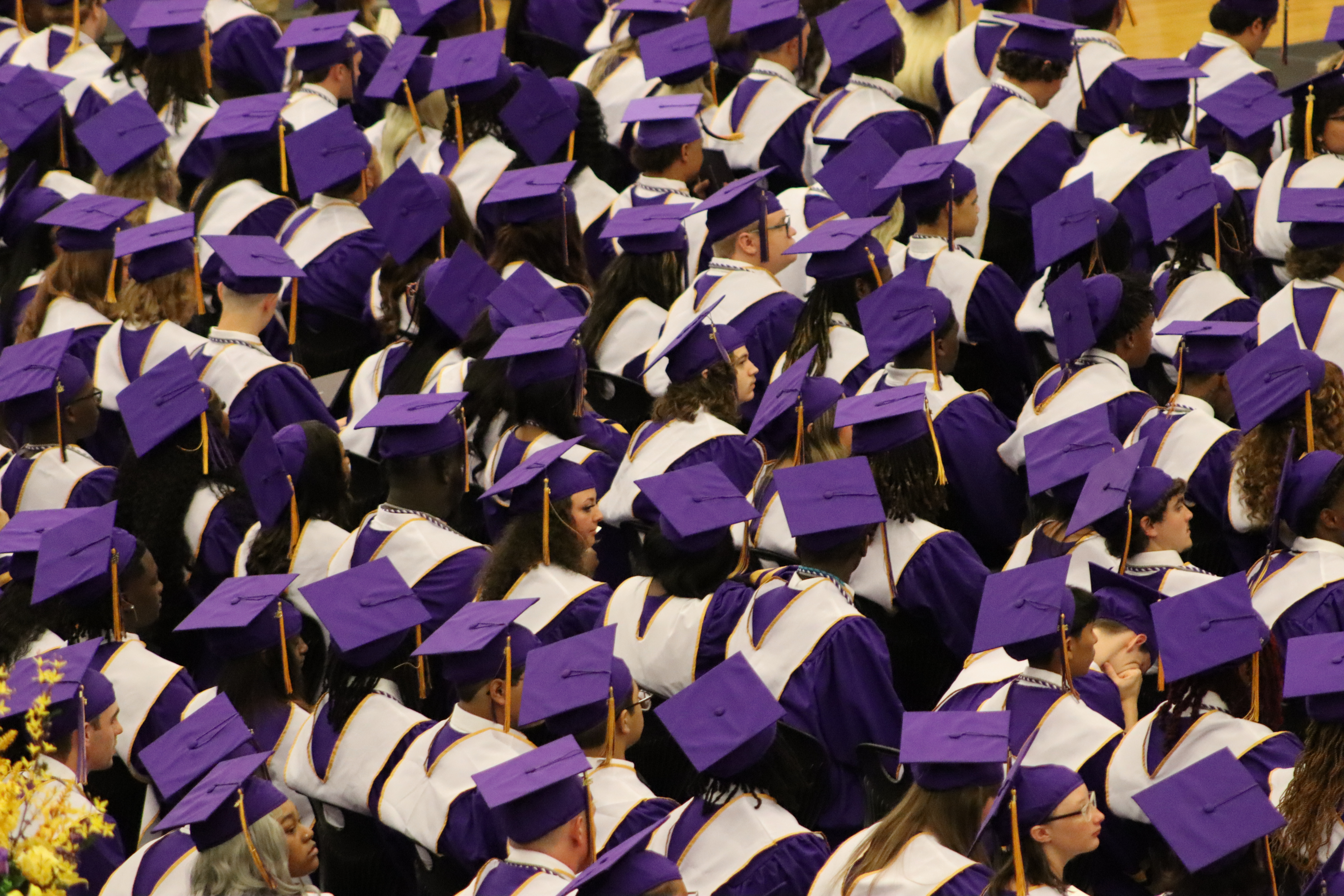 crowd of students stitting in purple graduation hats