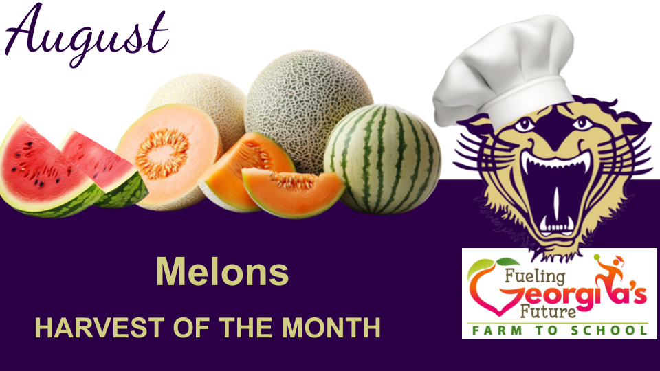 August Harvest of the Month is melons. Image shows watermelon, cantaloupe, and honeydew with a Bearcat mascot wearing a chef’s hat and the Fueling Georgia’s Future Farm to School logo