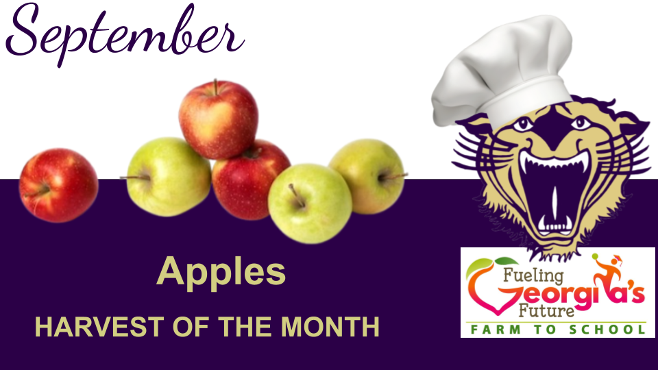 September graphic with red and green apples, the Bainbridge Bearcat mascot wearing a chef hat, and text reading 'Apples Harvest of the Month' with the Fueling Georgia's Future Farm to School logo
