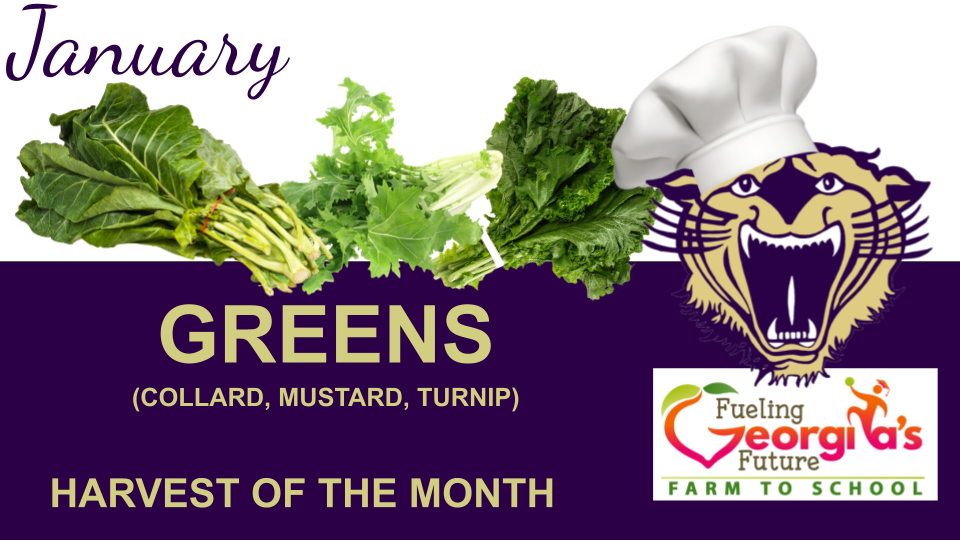 A slide showing the Harvest of the Month featuring a specific seasonal vegetable or fruit, with the tagline "Fueling Georgi’s Future" and a "Farm to School" logo.