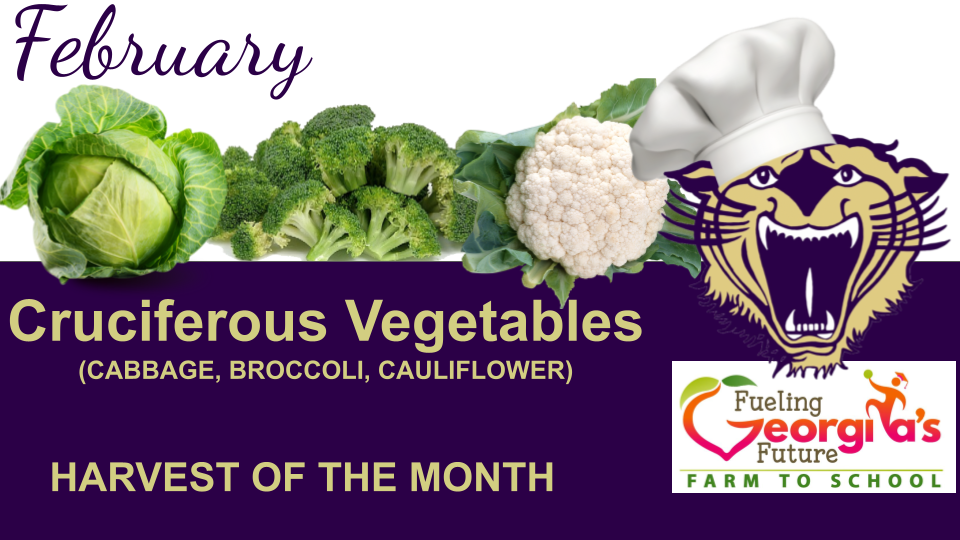 A slide showing the Harvest of the Month featuring a specific seasonal vegetable or fruit, with the tagline "Fueling Georgi’s Future" and a "Farm to School" logo.