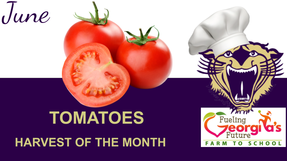 A slide showing the Harvest of the Month featuring a specific seasonal vegetable or fruit, with the tagline "Fueling Georgi’s Future" and a "Farm to School" logo.