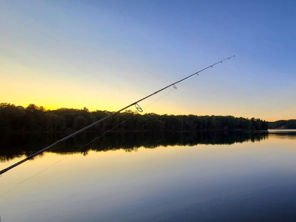 Fishing
