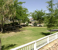 Shuffle Board Area