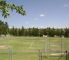 Sawaia Softball Field