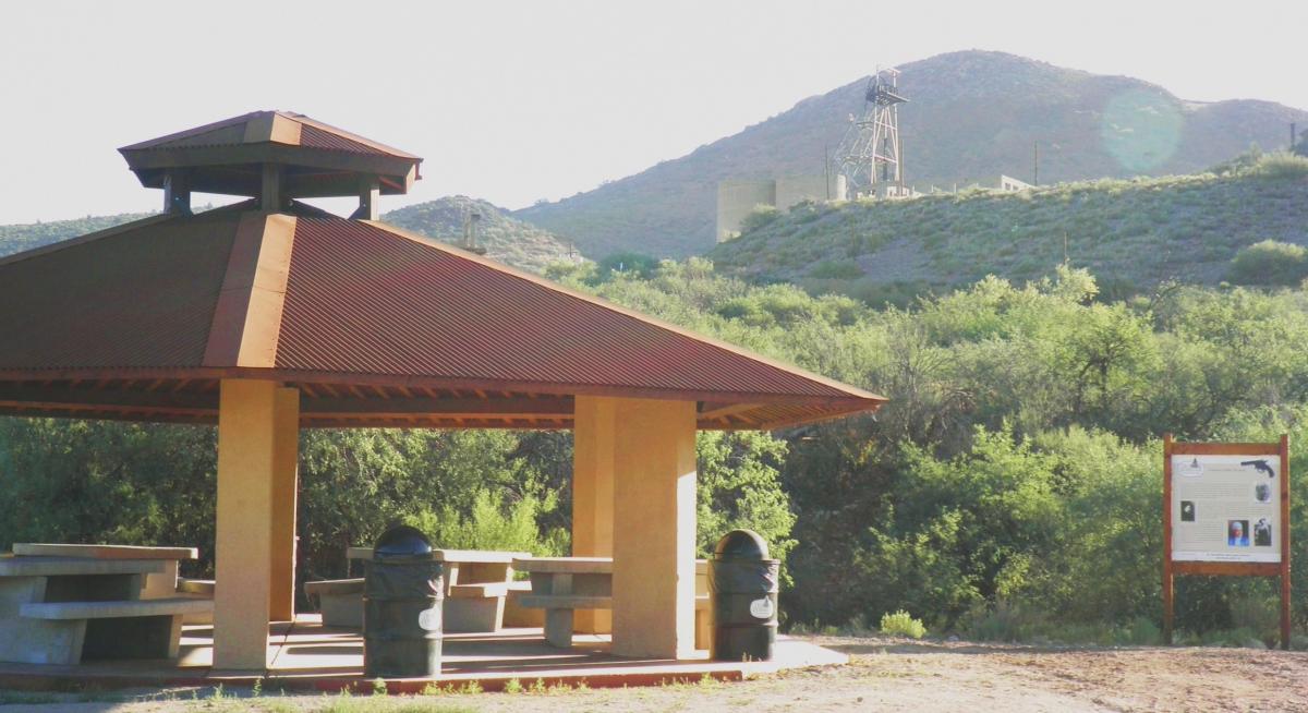 Outdoor wooden gazebo with a slanted roof, surrounded by lush greenery.