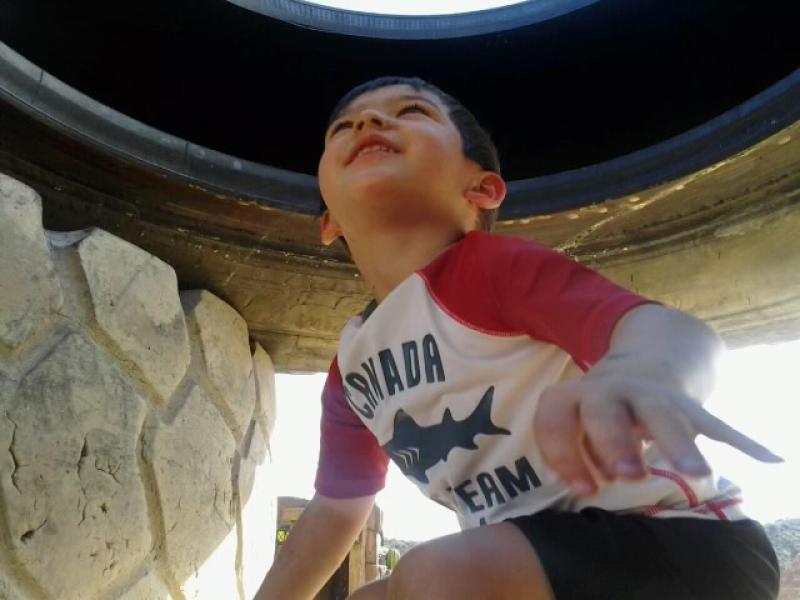 A young boy climbing a large rock.