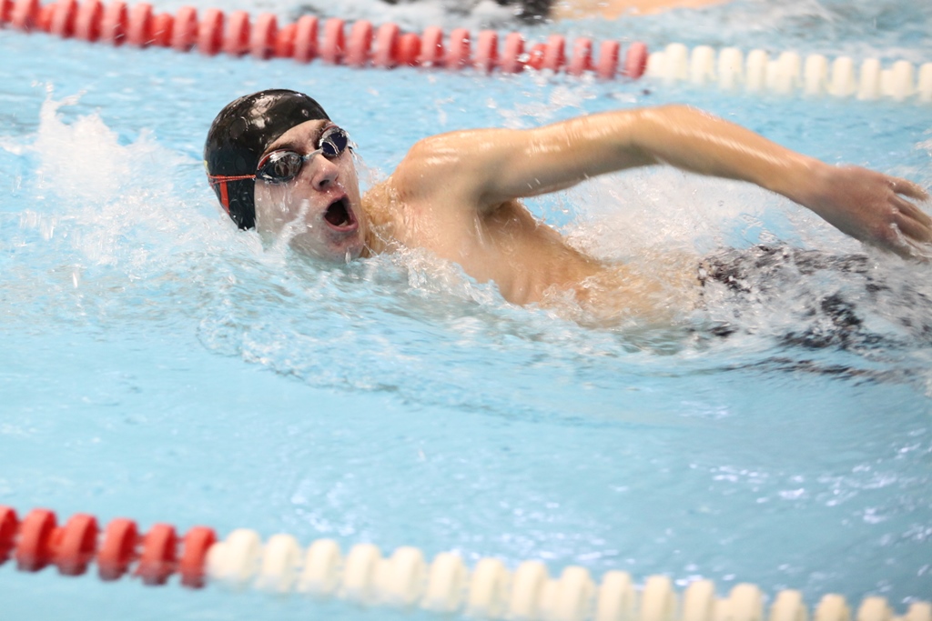 A swimmer in a pool with head above water.