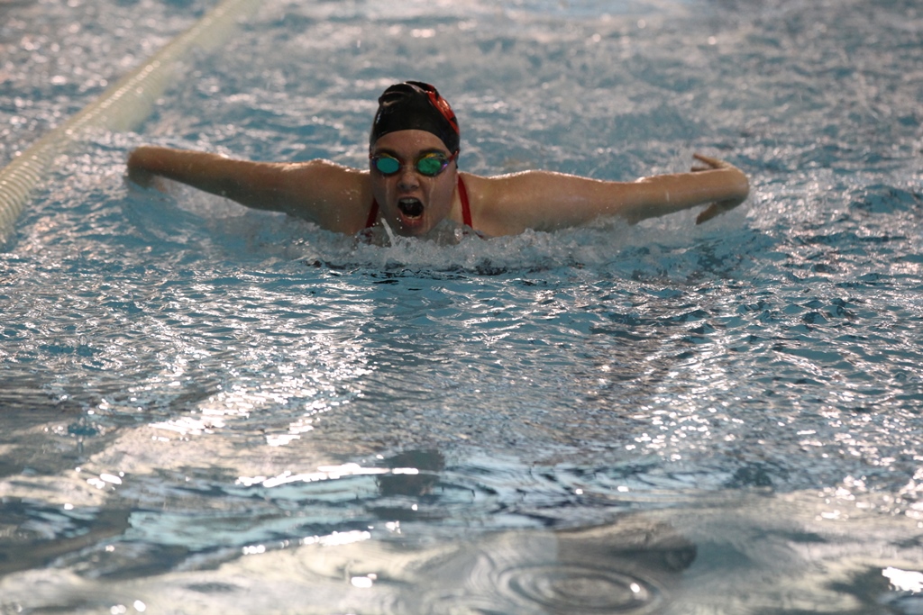 A woman gracefully swimming in a pool on a sunny day.