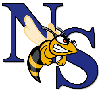 NS Logo