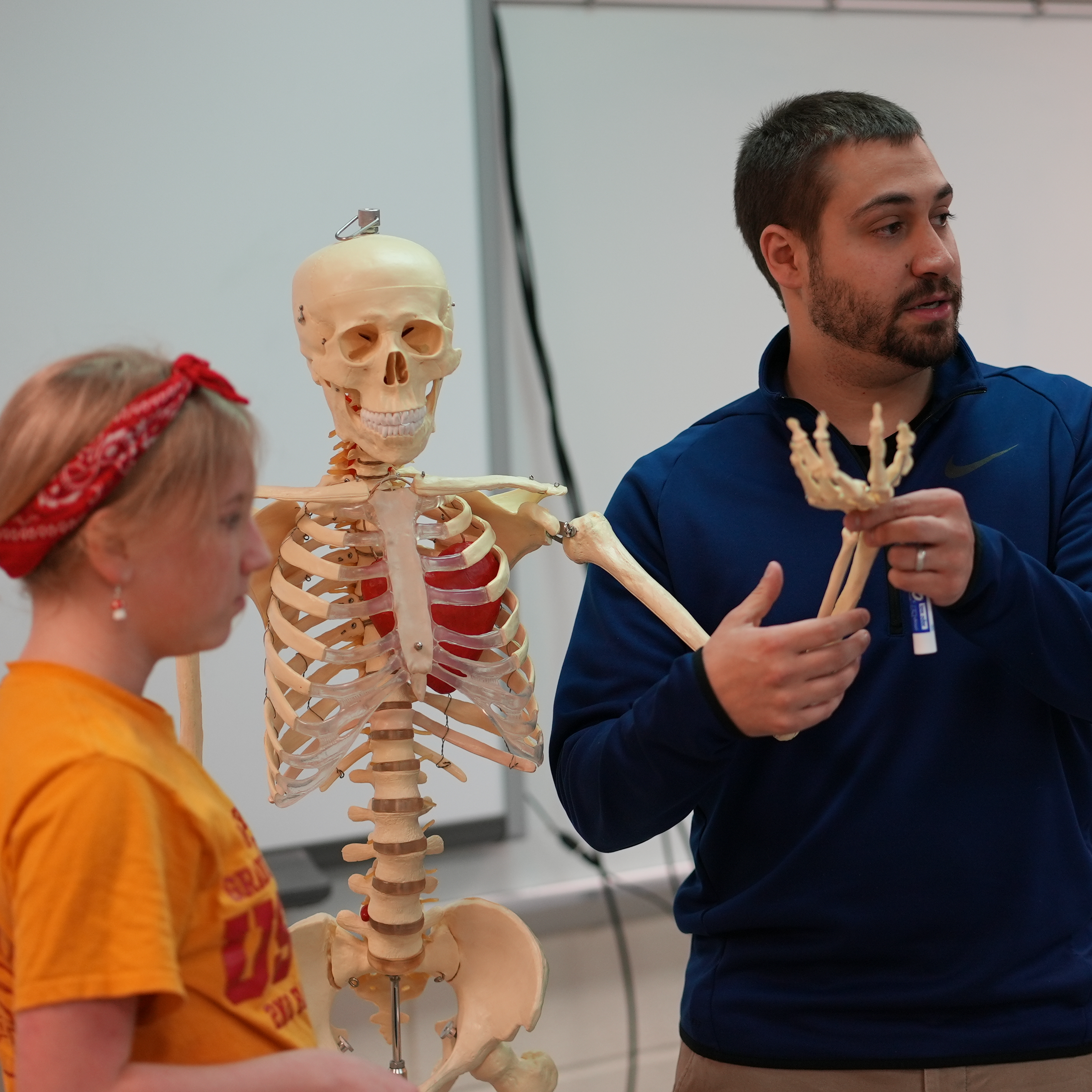 Teacher showing students bones on a skeleton