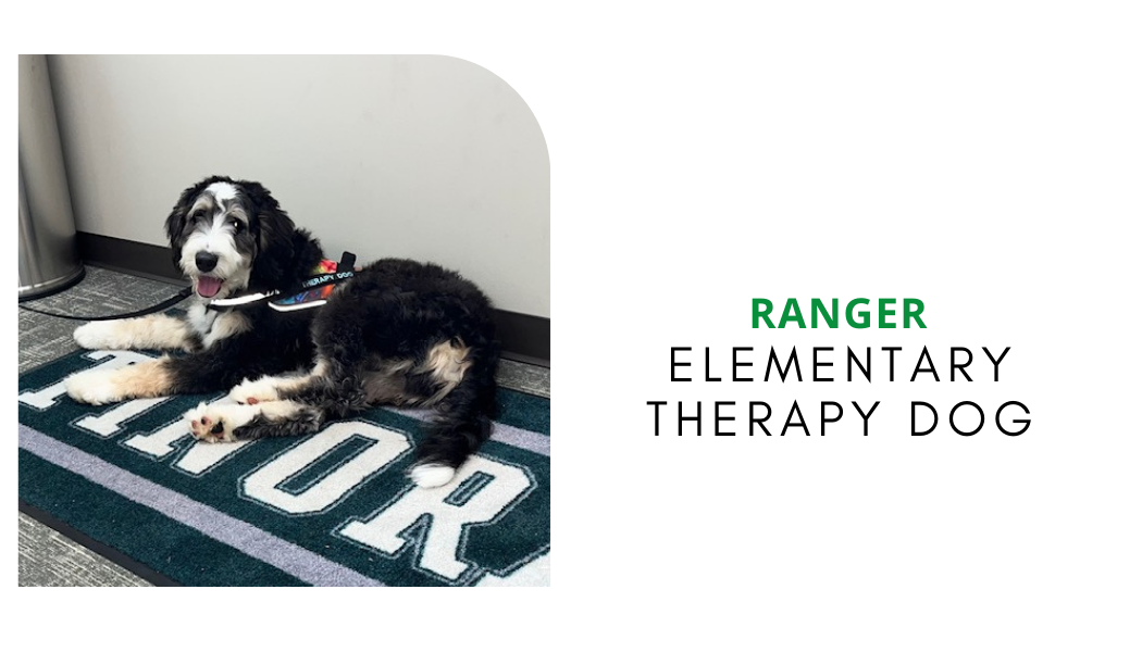 Ranger Therapy Dog