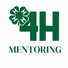 4H Mentoring