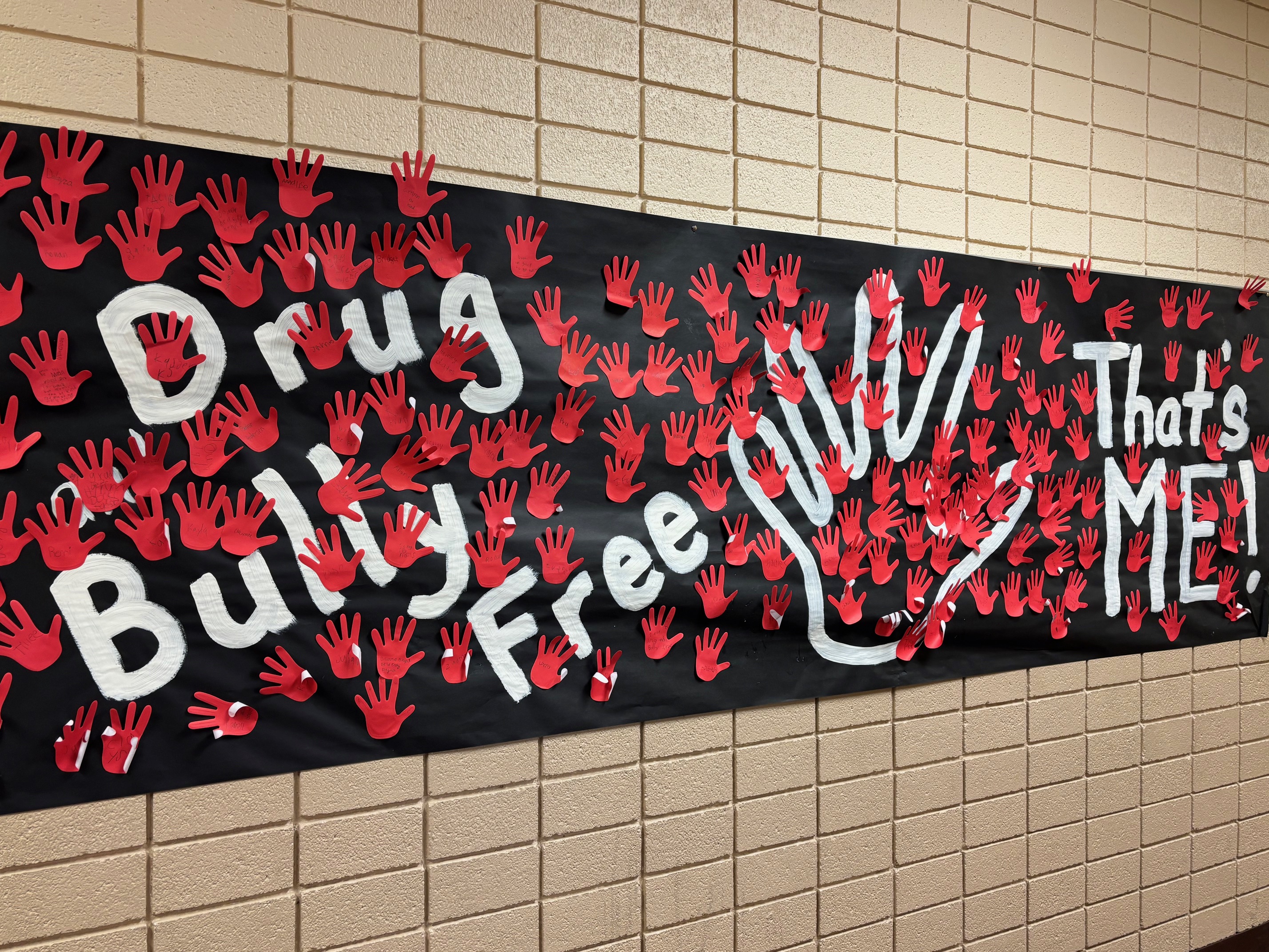 Drug and Bully Free Poster