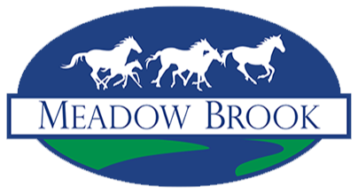 Meadow Brook Elementary Logo