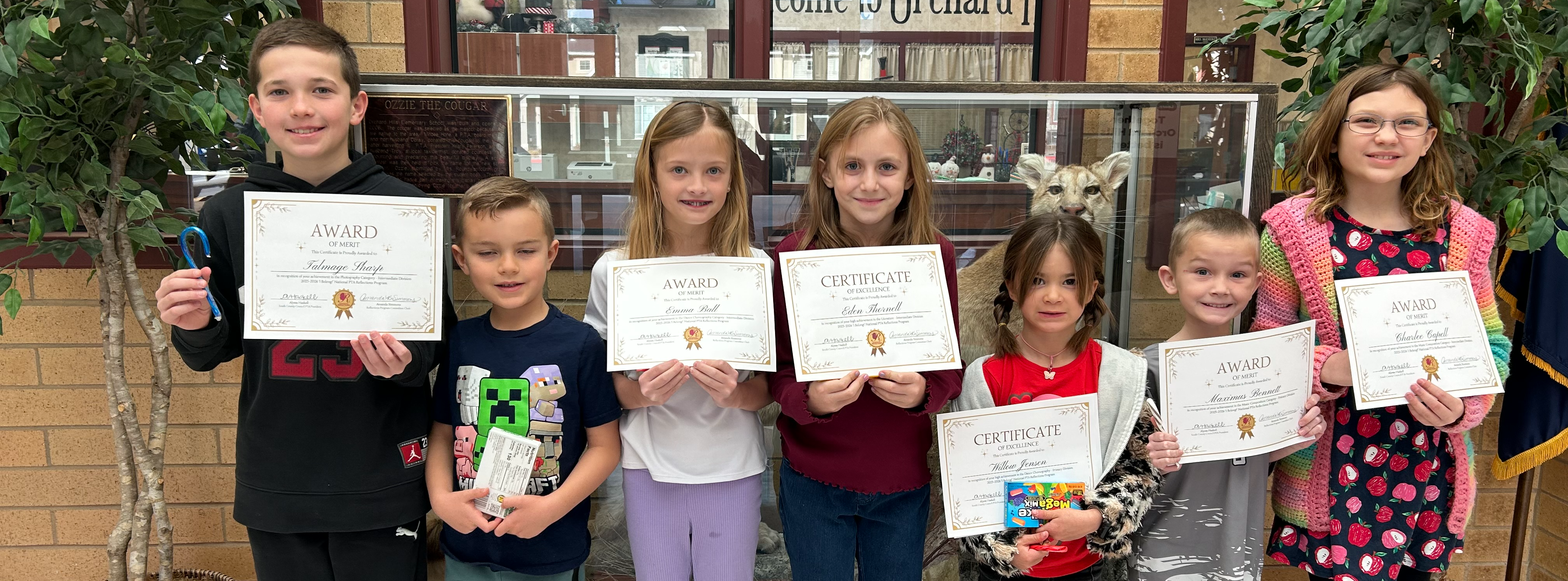 Reflections Certificates