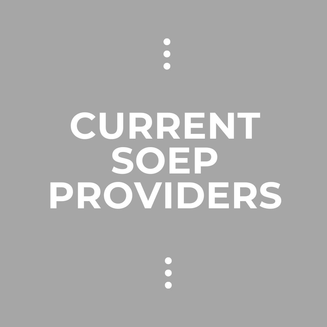 SOEP providers