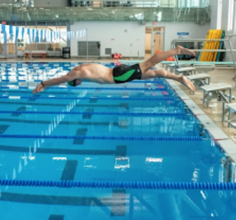 swimmer jumping into the water