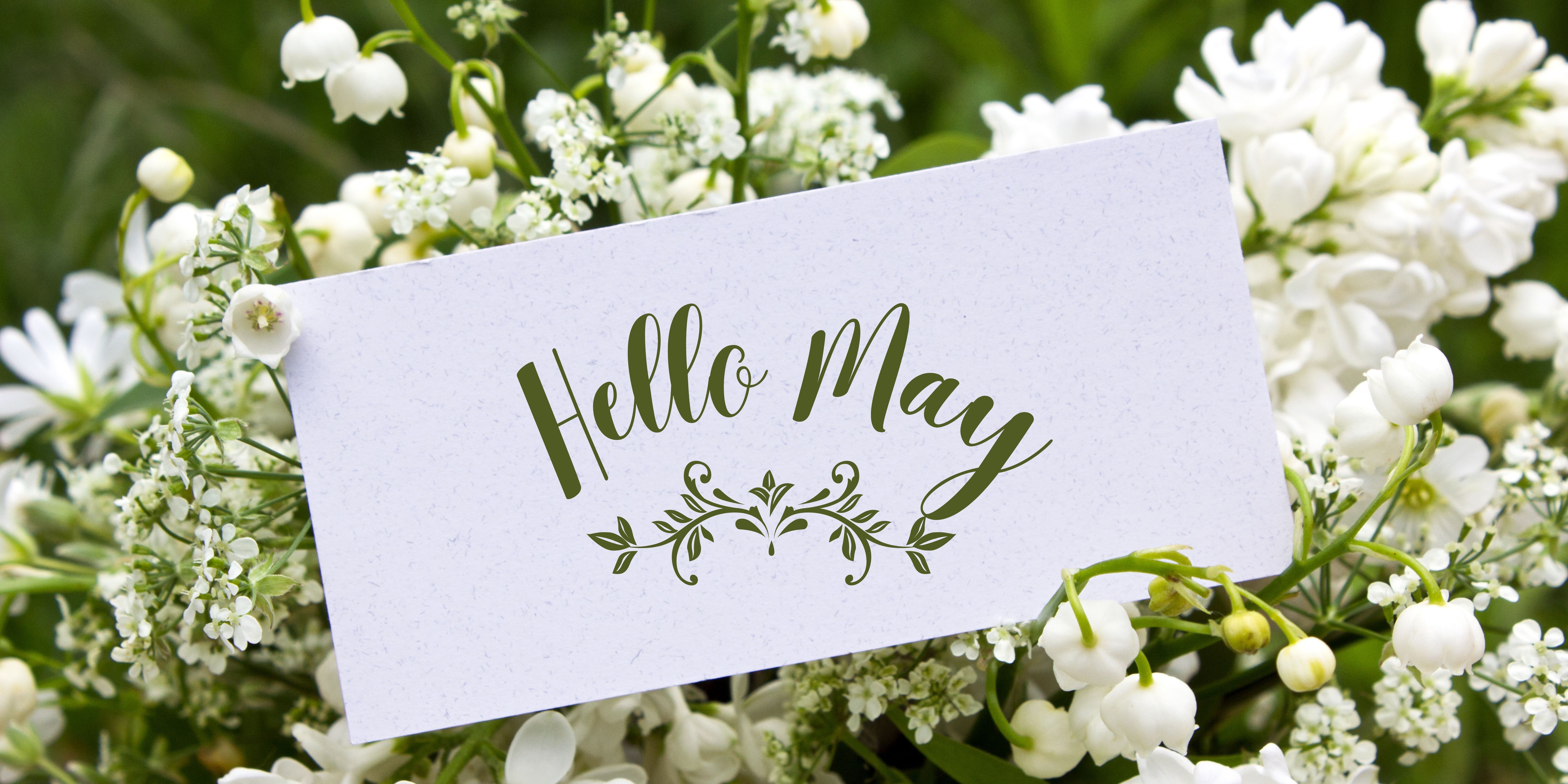Hello May with white flowers
