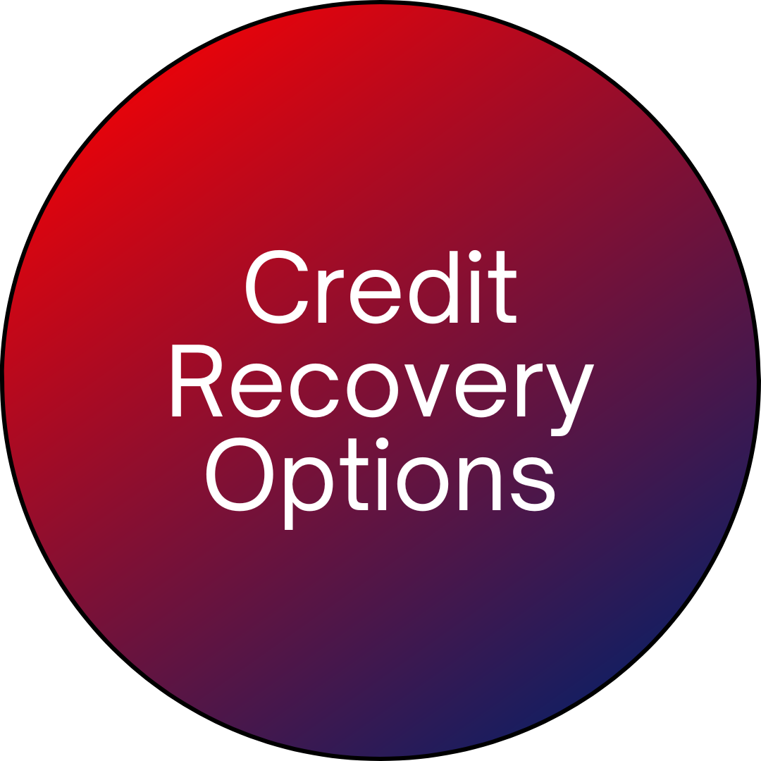 Credit Recovery Options Button