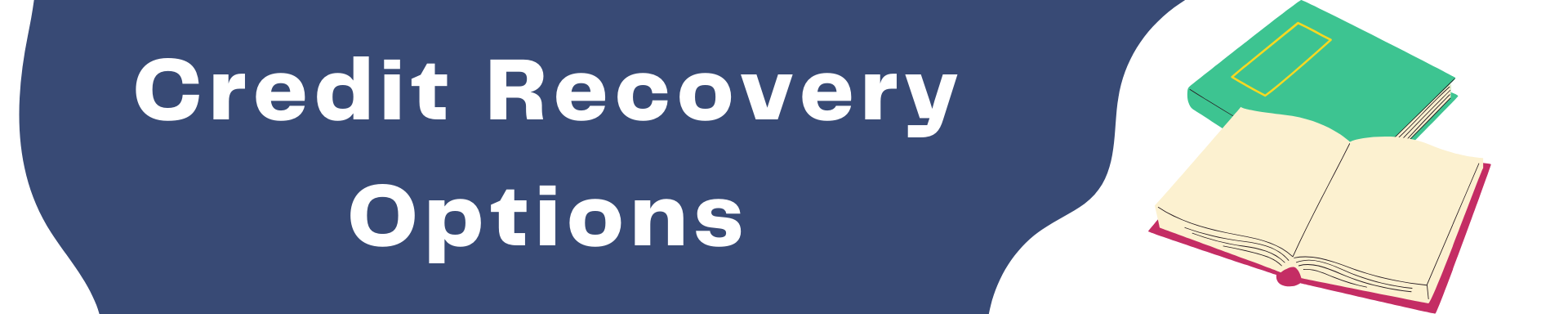 Credit Recovery Options Banner