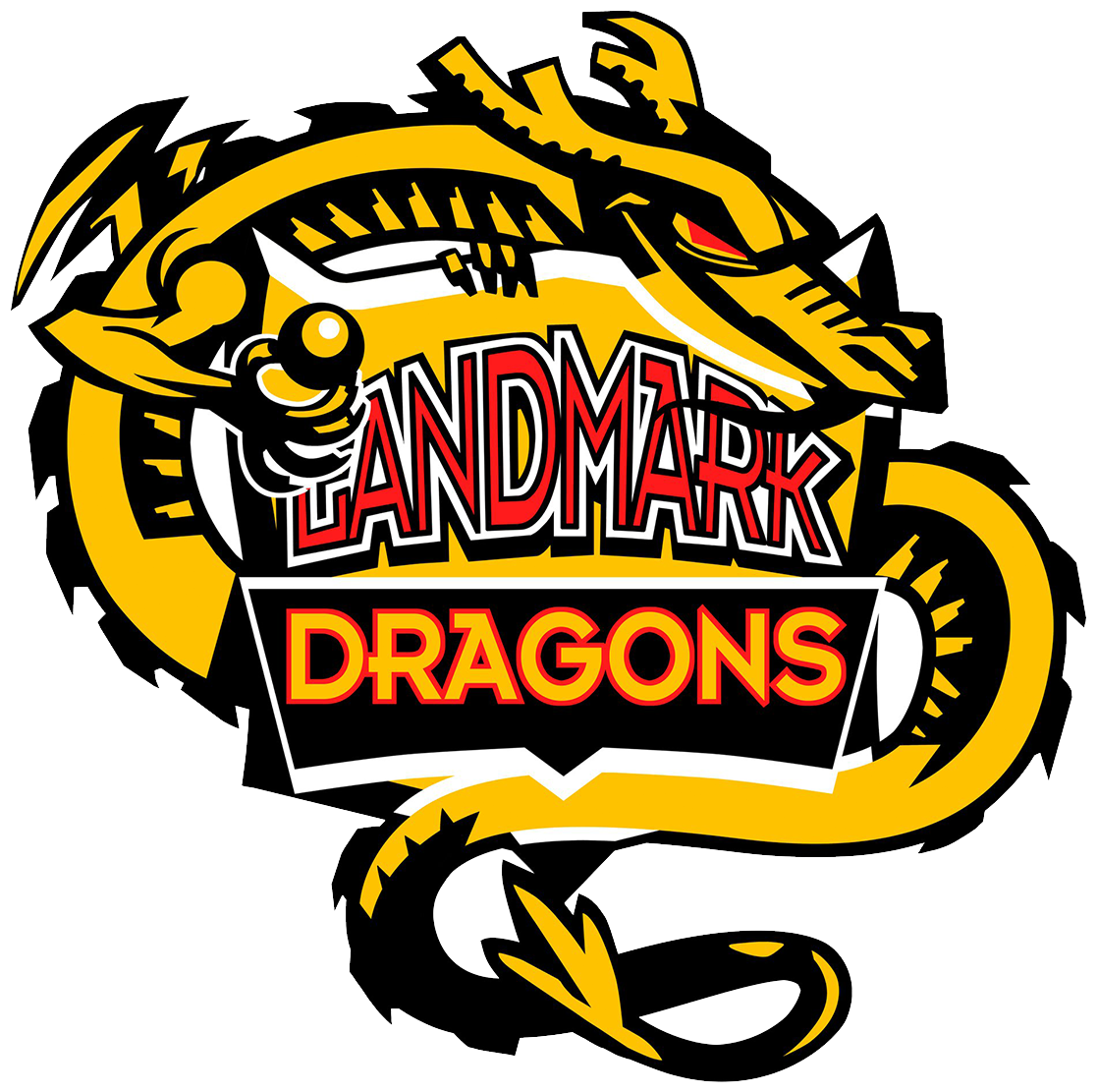 Vital Behaviors Landmark High School