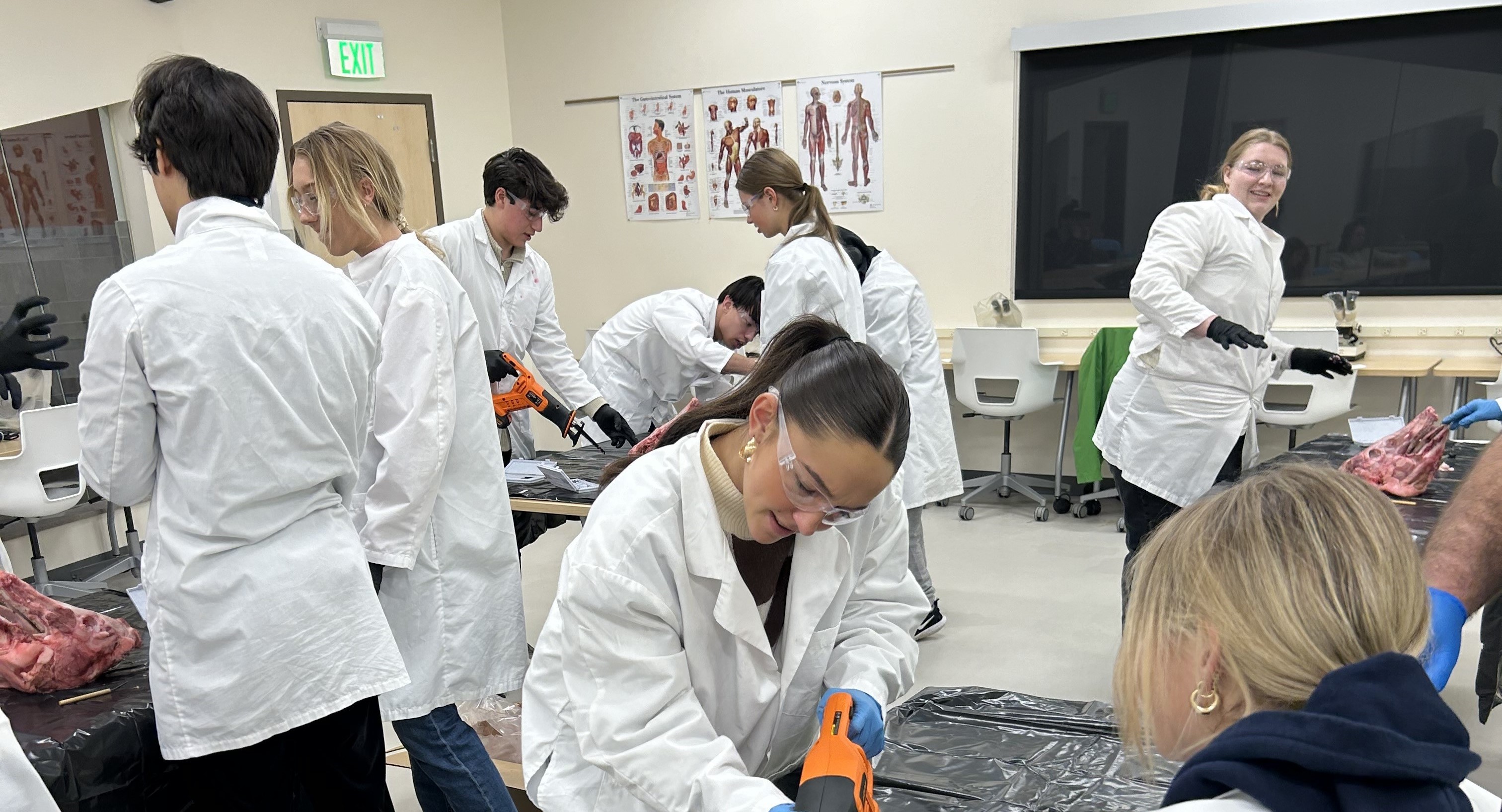 ALC Programs