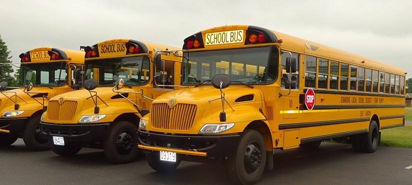 Three yellow school buses are parked neatly in a parking lot, ready for the day's transportation duties.