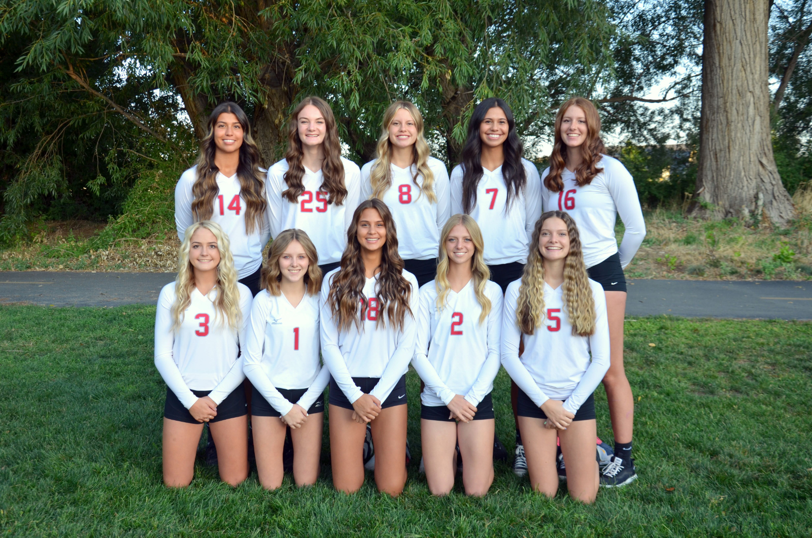 SFHS varsity volleyball team