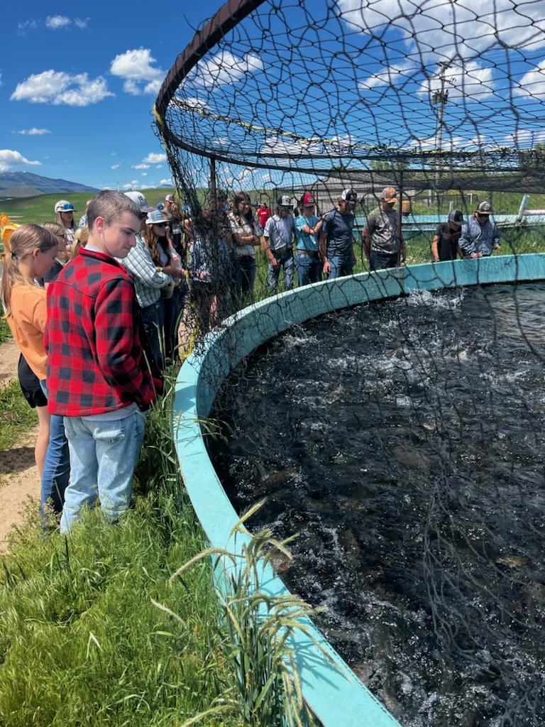 Summer Agriculture: Student Agriculture Experiences